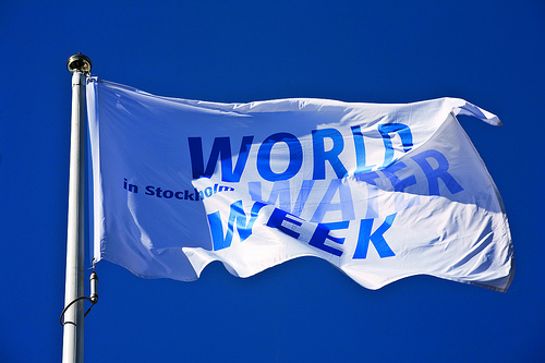 Photo courtesy worldwaterweek on flickr