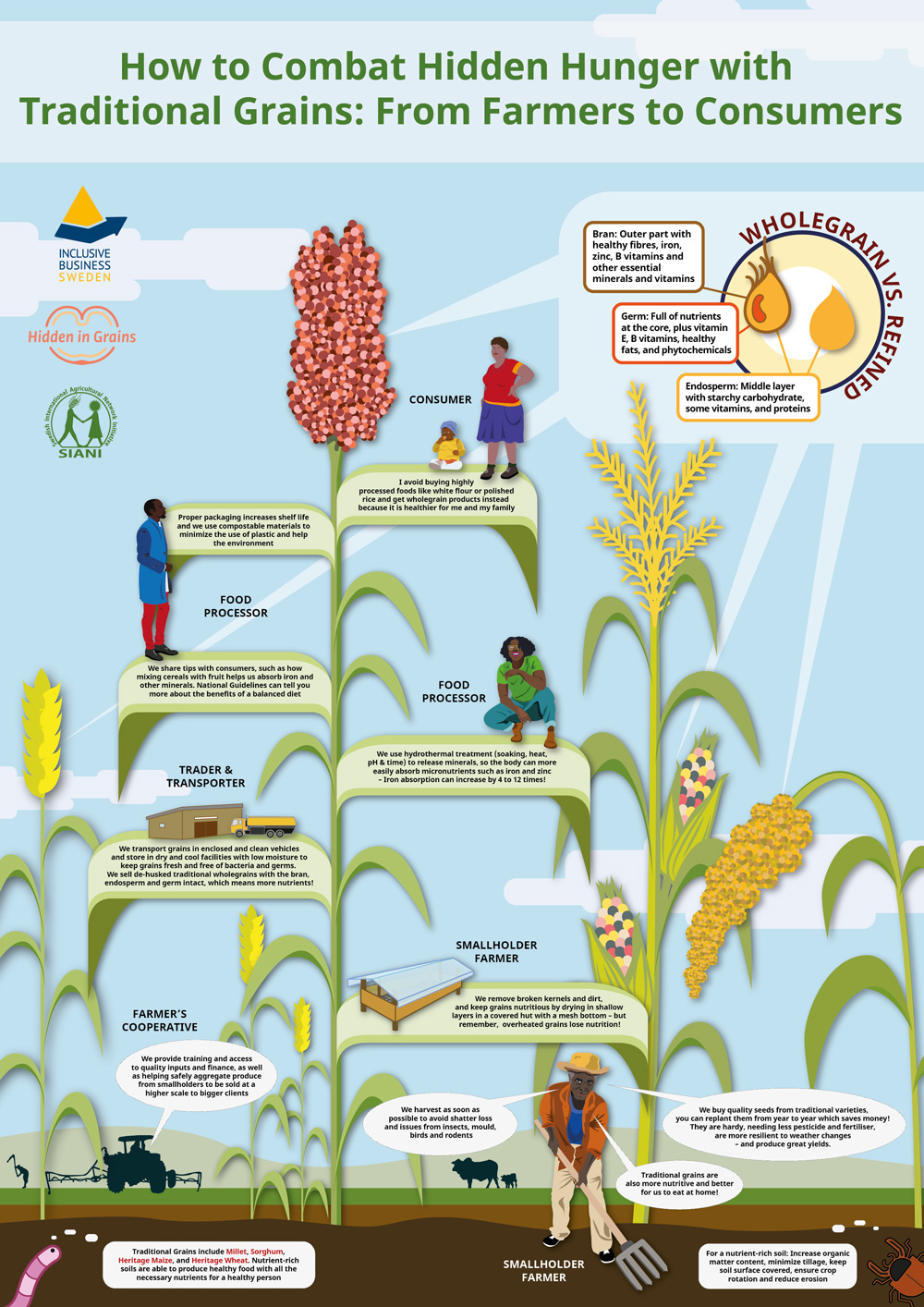 Infographic: How to combat hidden hunger with traditional grains - SIANI