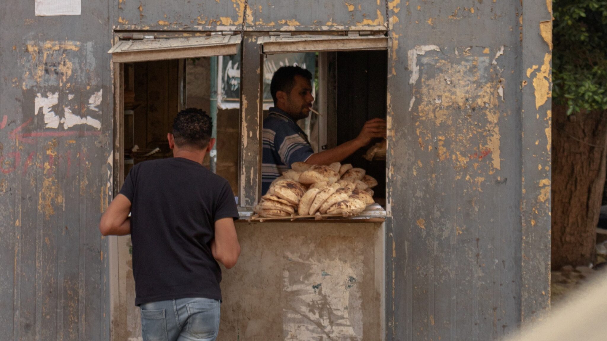 Egypt's Food System Under A Perfect Storm - SIANI