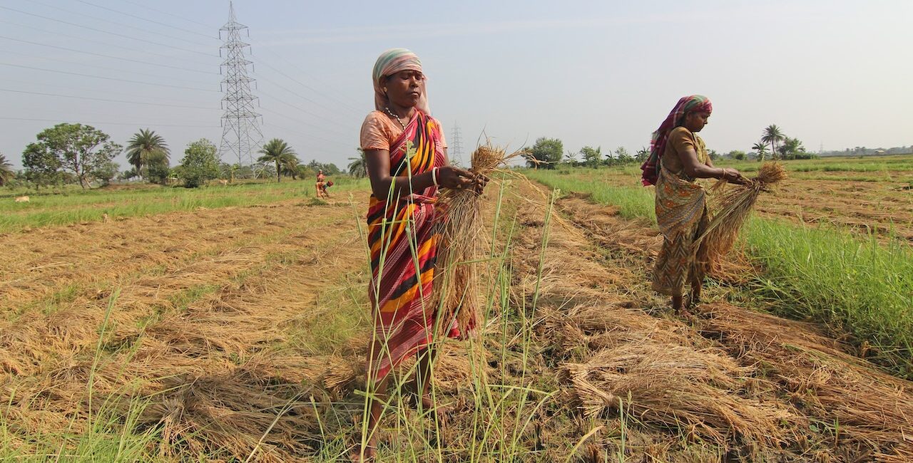 Launch of New FAO Report: The Status of Women in Agrifood Systems Time ...