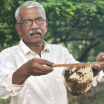 <span class="image-description">Ravendeeran Kannan, SEEDS Trust</span>