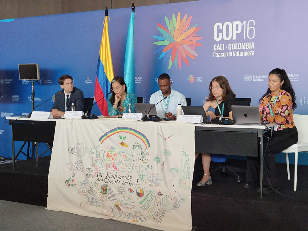 COP16 press conference bout the Inclusive conversations process.