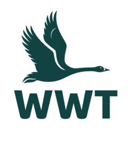 WWT logo