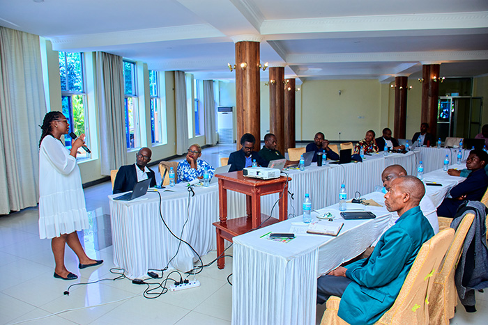 Expert group workshop Tanzania