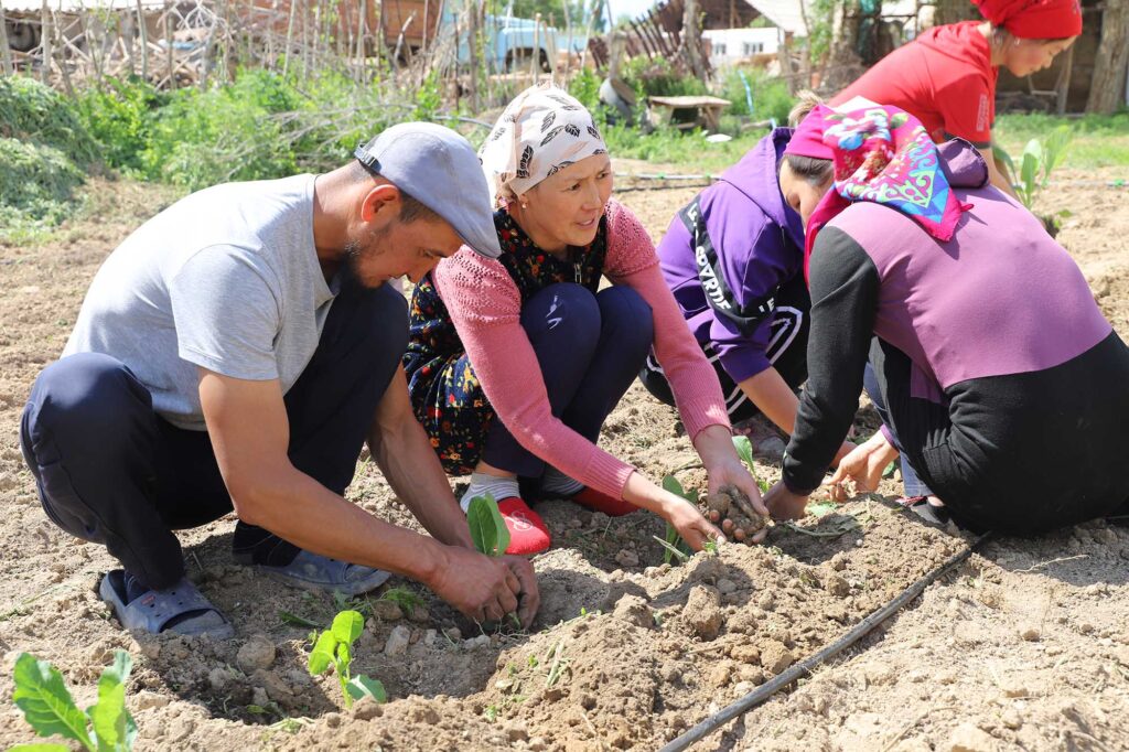 Farmers Kyrgyzstan