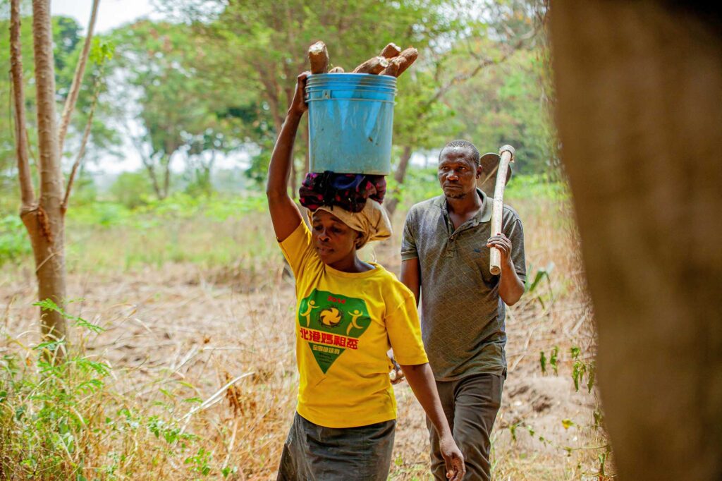 Drylands Agroforestry