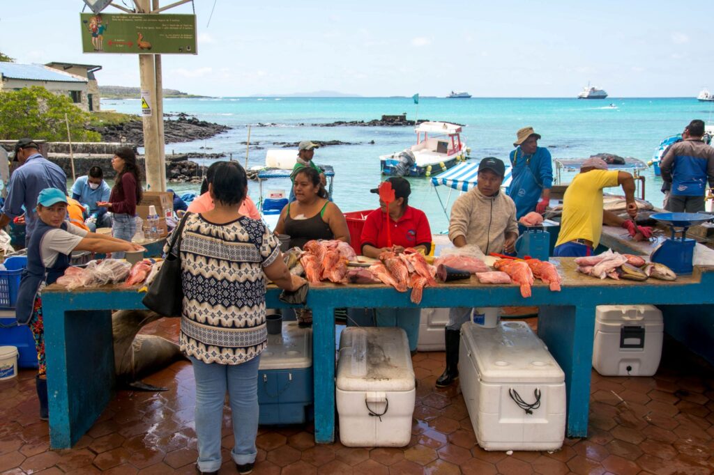 Fish market Galapagos, Ecuador