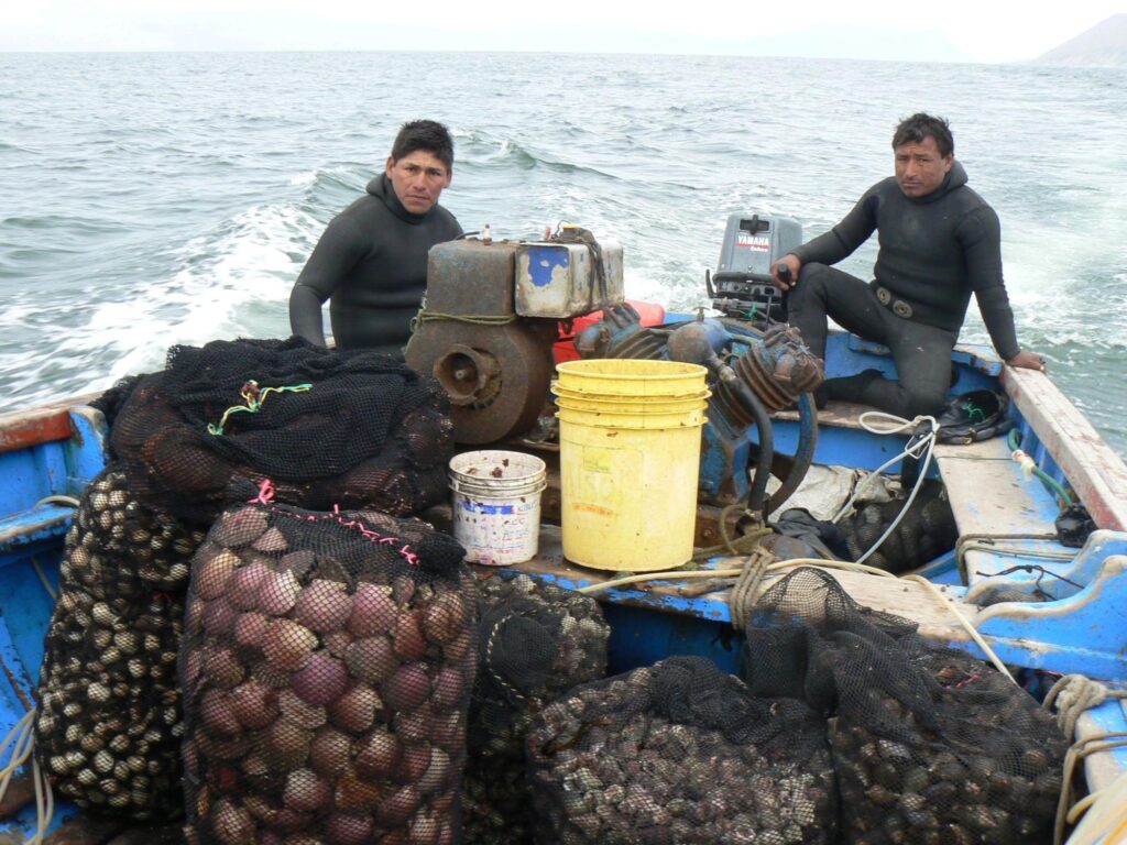 Small-scale fishery in Peru.