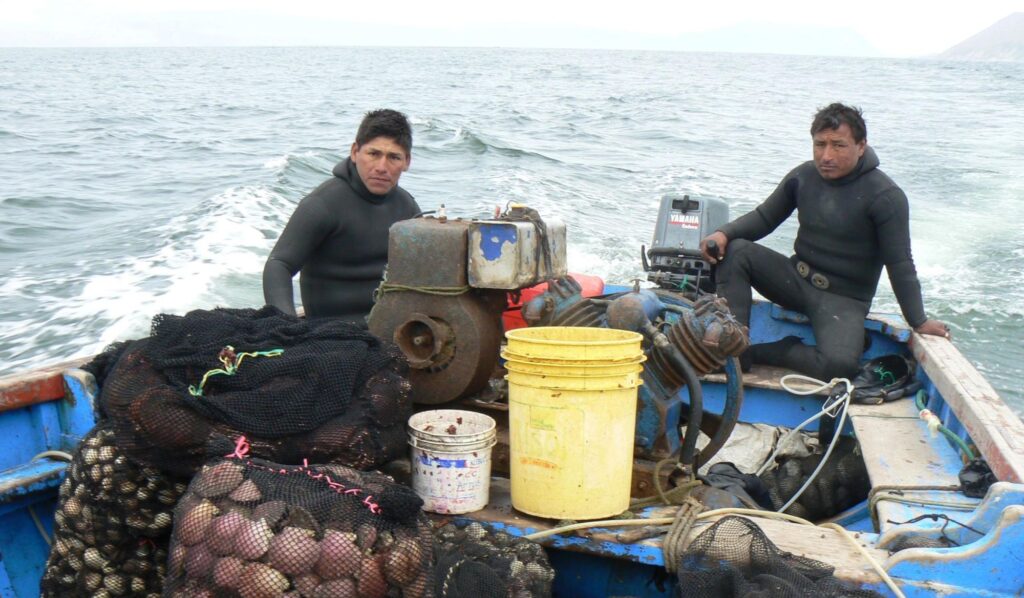 Small-scale fishery in Peru.