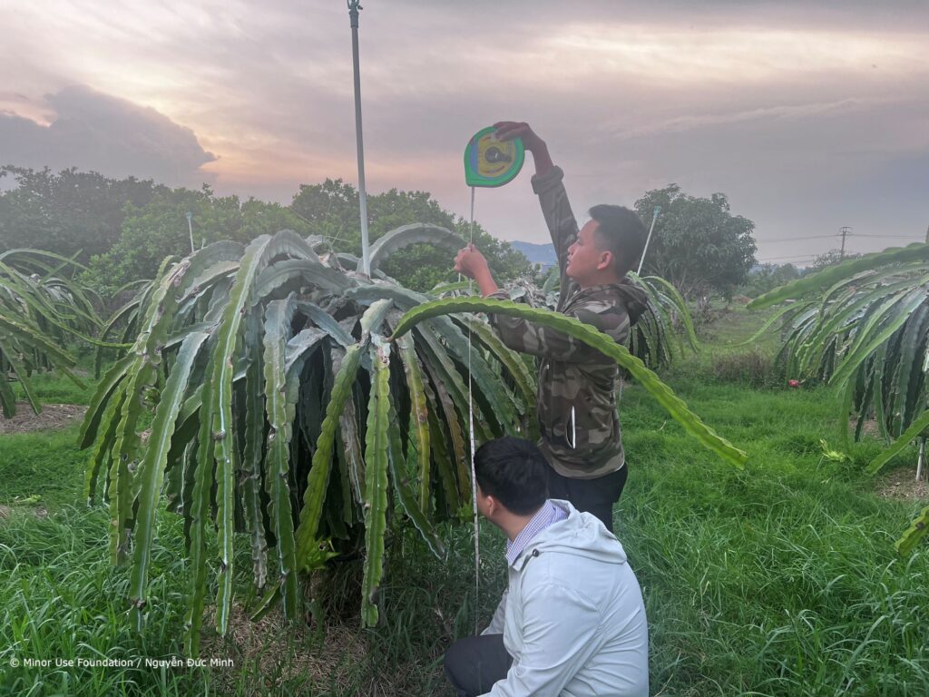 Fruit farming, Vietnam